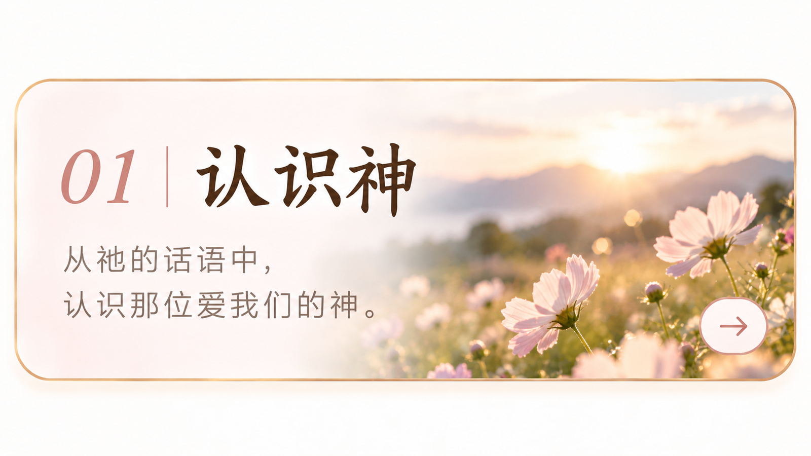 认识神
